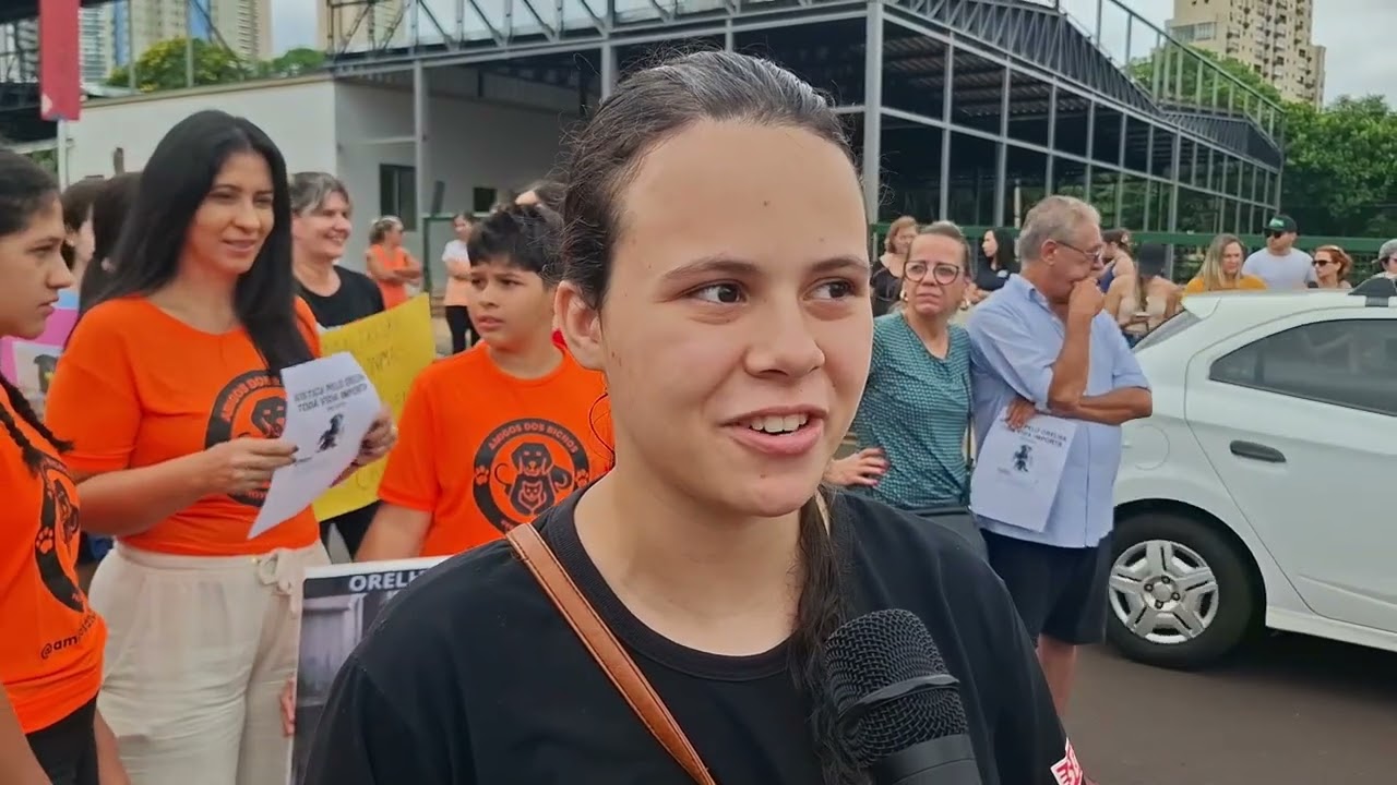 MANIFESTAÇÃO 
