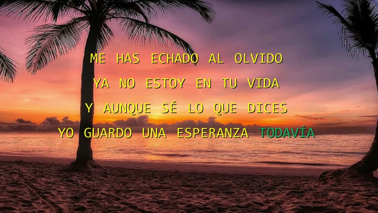 Me Has Echado al Olvido - Roberto Livi - Karaoke HD