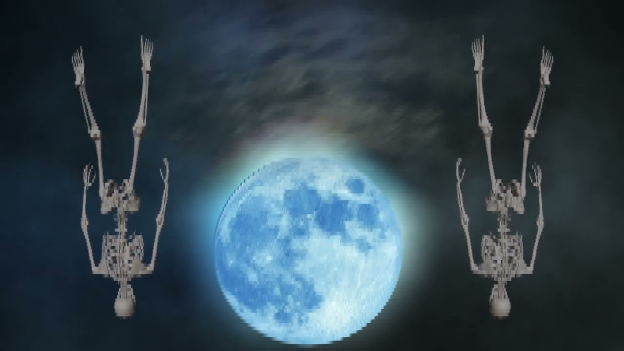Fly me to the moon \ Skeleton version