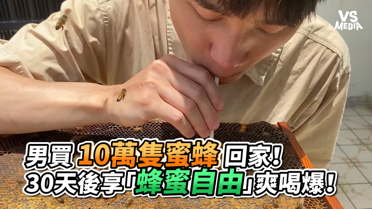 男買10萬隻蜜蜂回家！30天後享「蜂蜜自由」爽喝爆！｜VS MEDIAｘ@小河馬-y9y