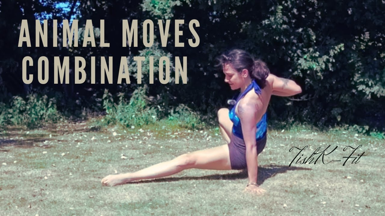 Animal Flow Movement Workout