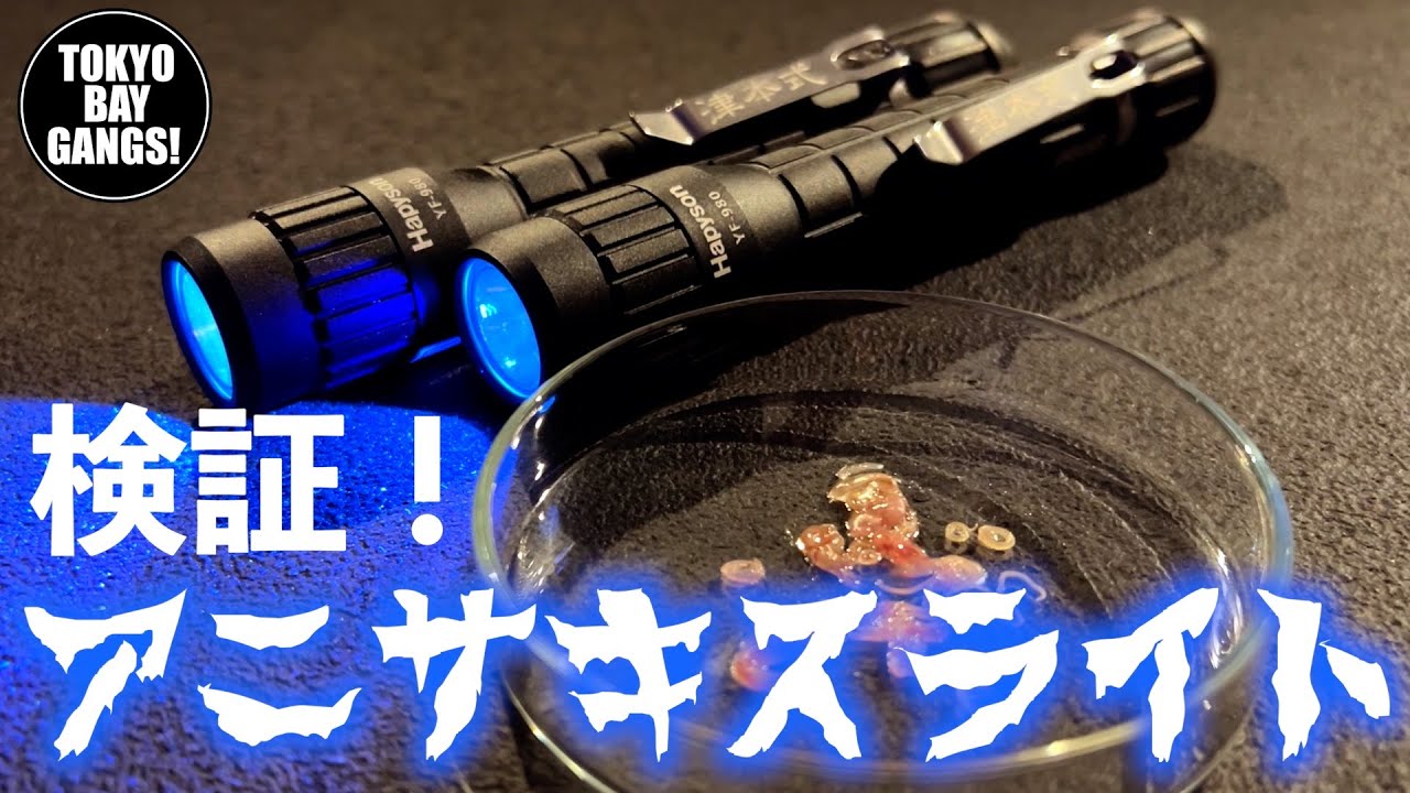 【閲覧注意】検証！ アニサキスライト　一家に1台これ必要です　〜東京ベイギャングズ〜