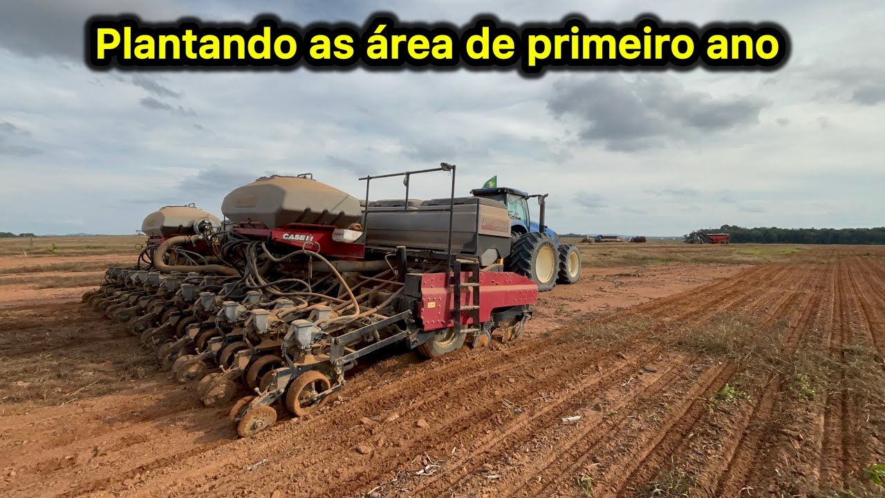 COMEÇAMOS O PLANTIO NAS AREA NOVA 