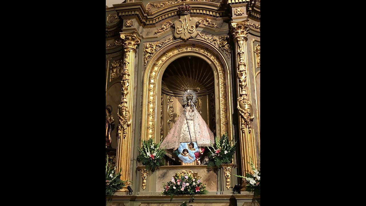 Día 1 Novena despedida 19 01 2025
