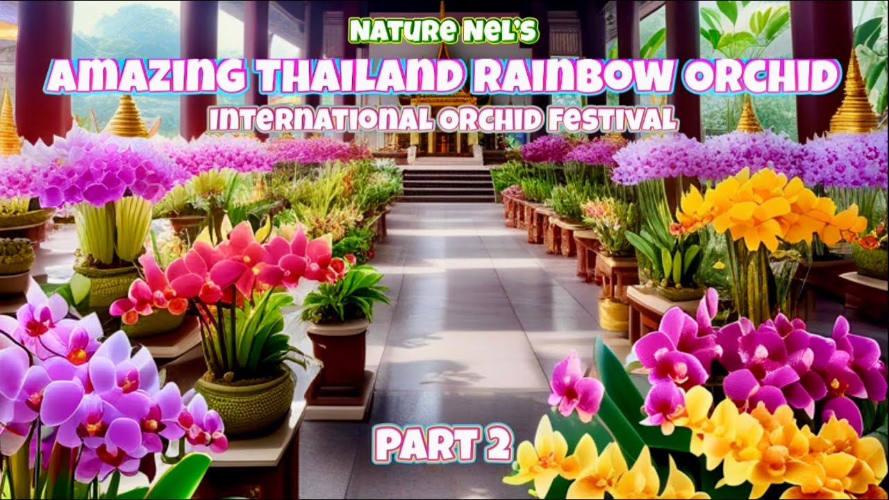 Part 2 of Amazing Thailand Orchid Show in Florida. Breathtaking experience. See inside the temple.