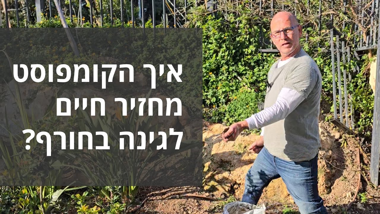 איך הקומפוסט מחזיר חיים לגינה בחורף? 🍂🌱