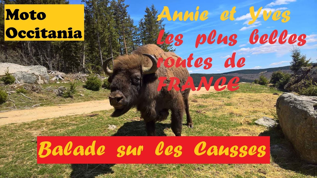BALADE SUR LES CAUSSES DU LARZAC