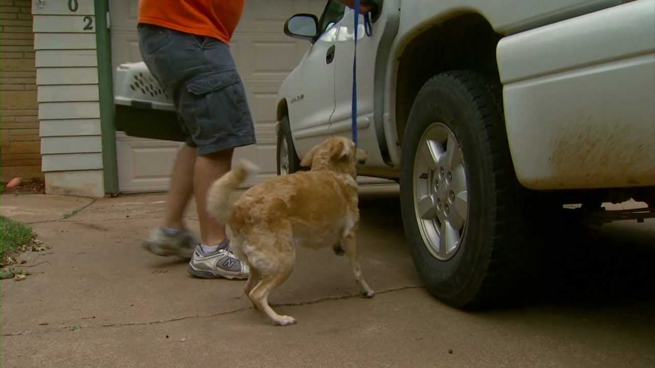 Pet Evacuation (9/29/12)