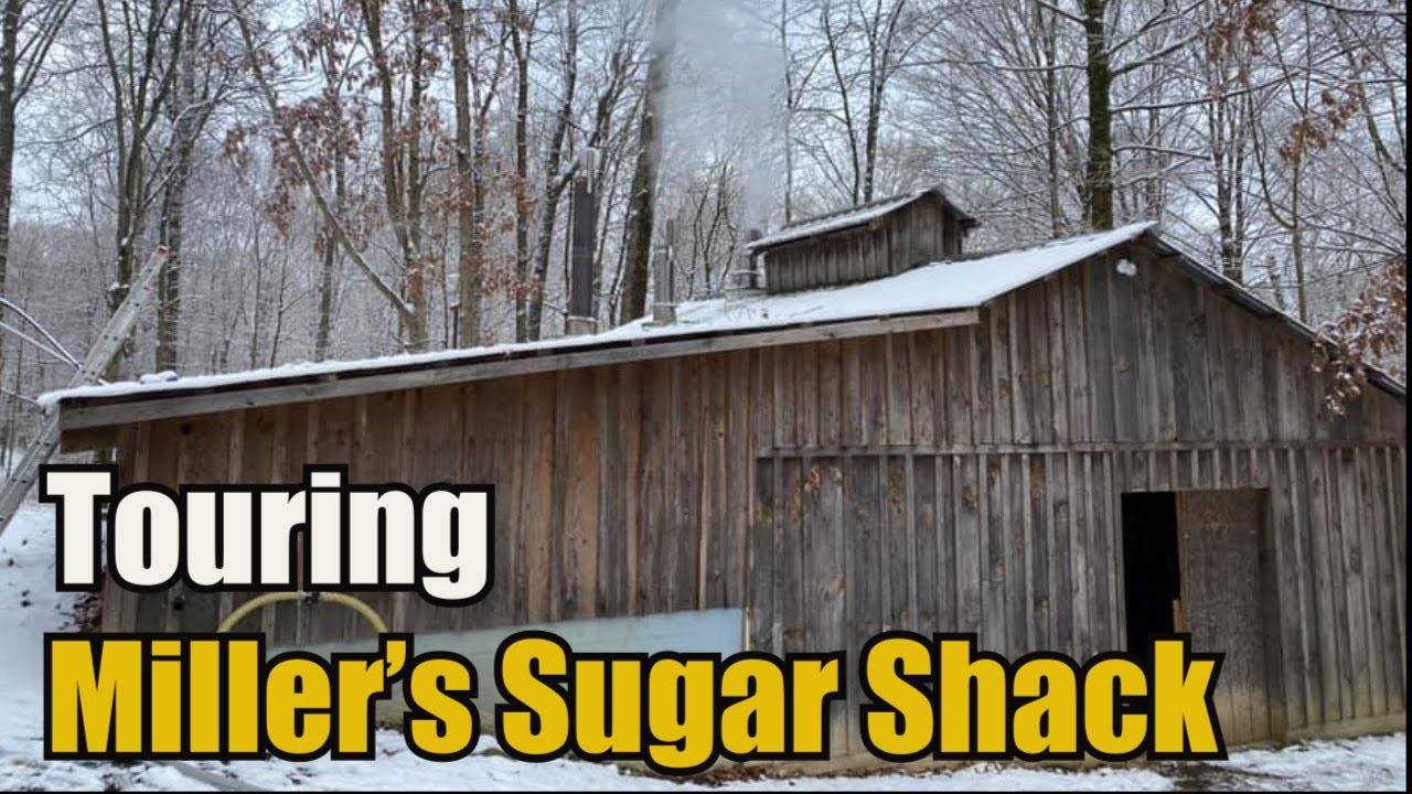 Посещение кондитерской Miller's Sugar Shack (100% чистый кленовый сироп)