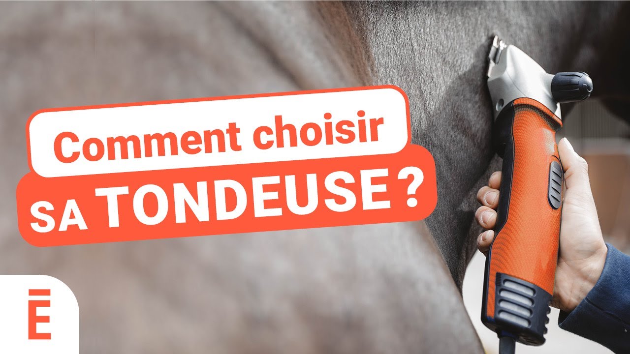 Comment bien choisir la tondeuse pour son cheval ?