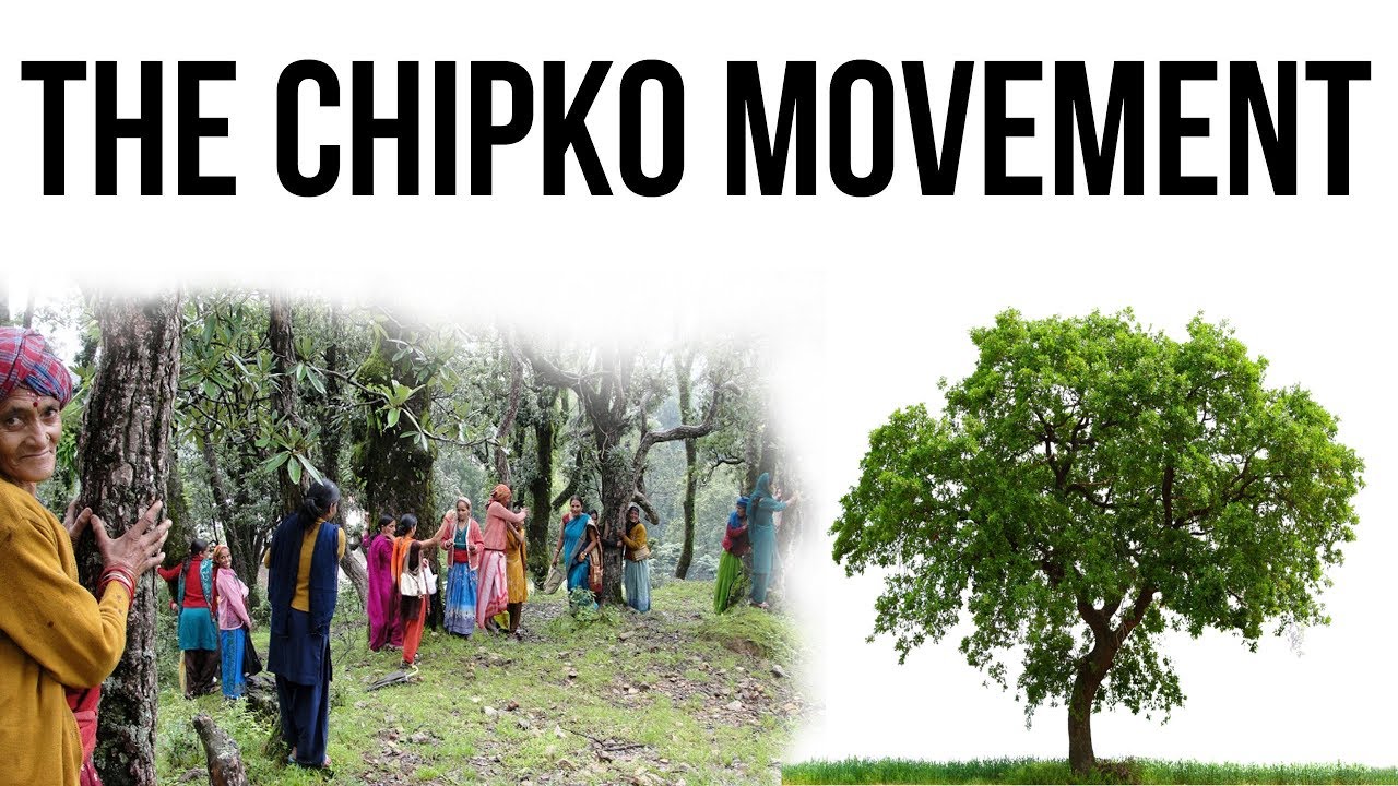 What is Chipko Movement? चिपको आंदोलन और वन संरक्षण People's Participation in Forest Conservation