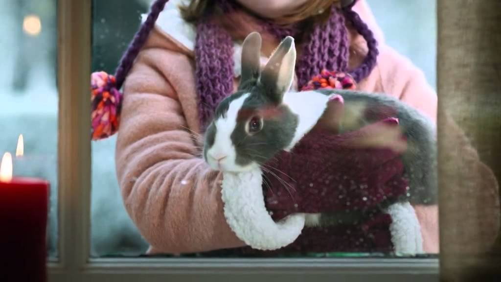 bol.com - Flappie kerstcommercial (NL)