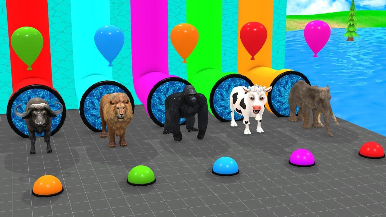 Long Slide Game With Cow Elephant Gorilla Hippopotamus Tiger 3d Animal Game Funny 3d Animals