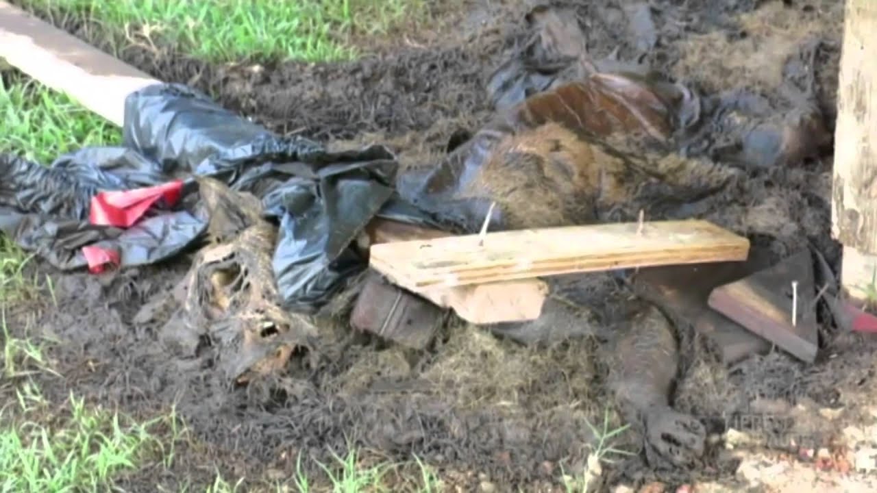 WDR Tiere suchen ein Zuhause zum Thema „PETA tötet Tiere“