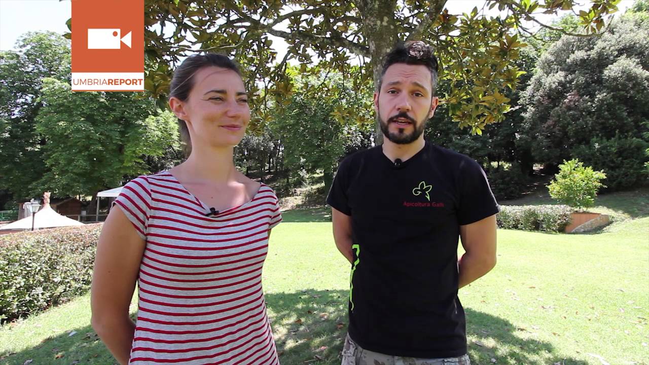 | Umbria Report | Umbria TV | Apicoltura Galli