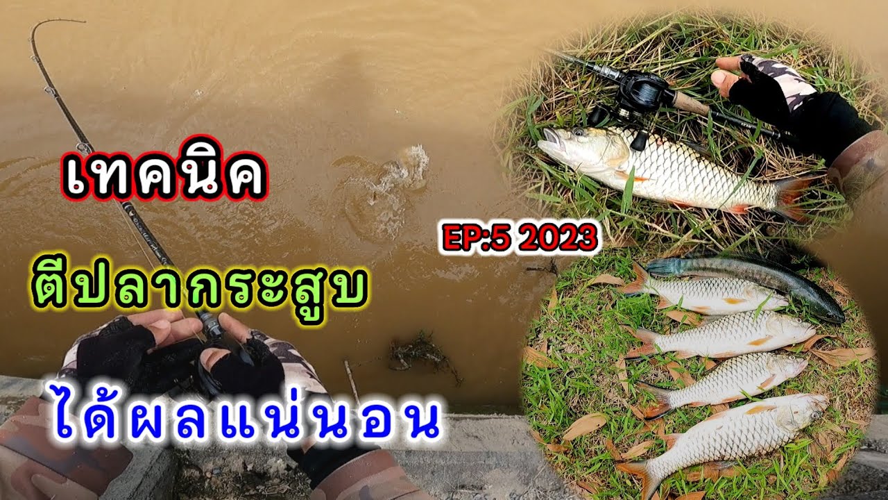 เทคนิคตีปลากระสูบ!!!💥ได้ผลแน่นอน #ปลากระสูบ #เทคนิคตีเหยื่อปลอมปลากระสูบ #ตีปลา #ตีปลากระสูบ