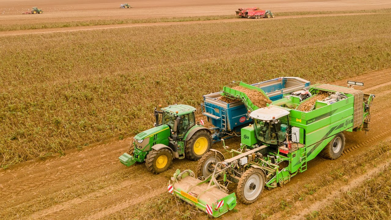 Arrachage de PDT & Semis de Blé | 8 Tracteurs - 2 Arracheuses