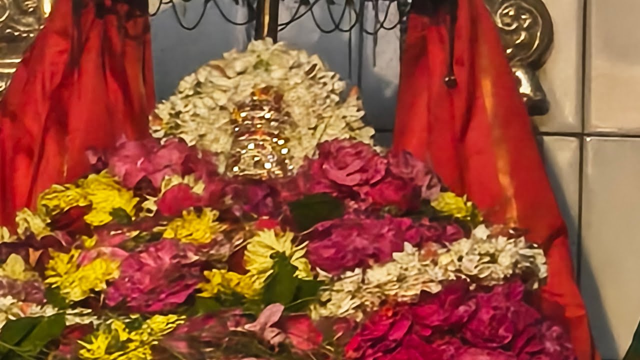 శ్రీ యోగ గణపతి వారకి క్షీరాభిషేకం, ఆనందవనం, భీమునిపట్నం  Sivananda Hrudayam is live