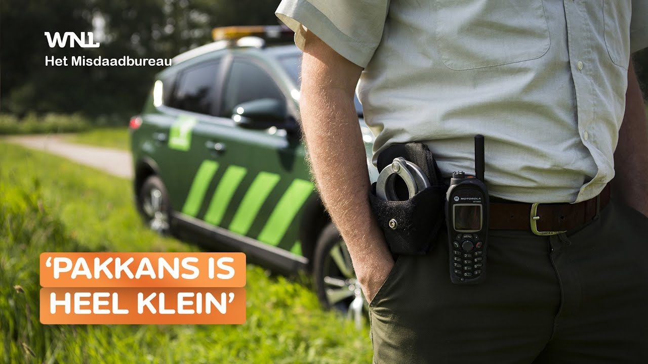 Stropers hebben vrij spel: vooral reeën en hazen illegaal afgeschoten