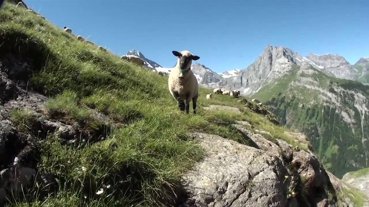 Speedflying Hike and Fly Rottal
