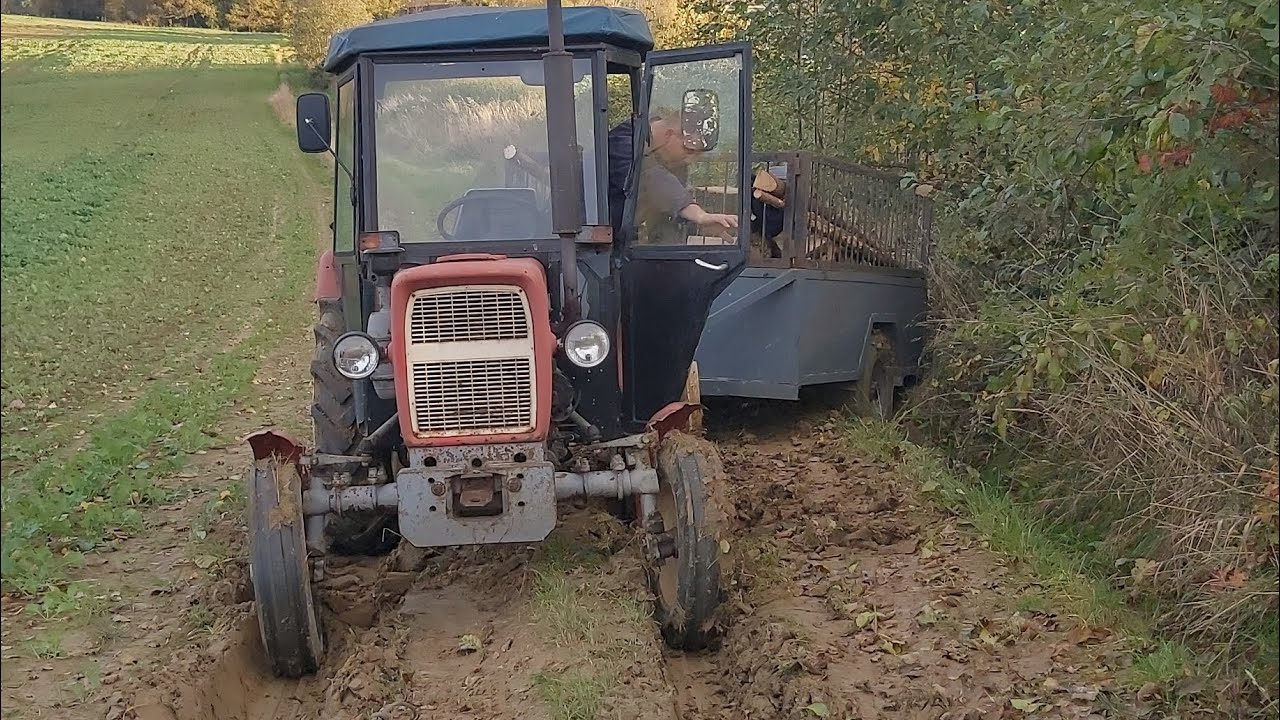 Ciężki podjazd Ursus c330 | Mokry podjazd z drewnem capkiem