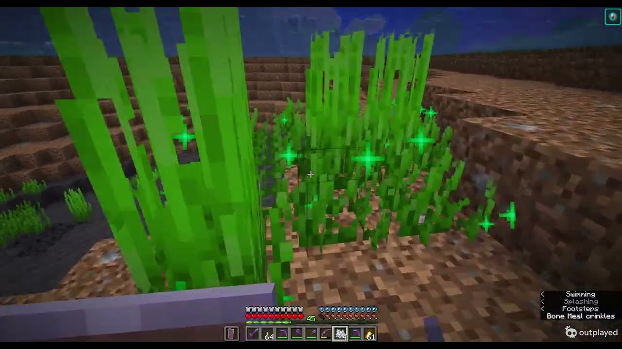 Ep. 230 Decorating our new lake!