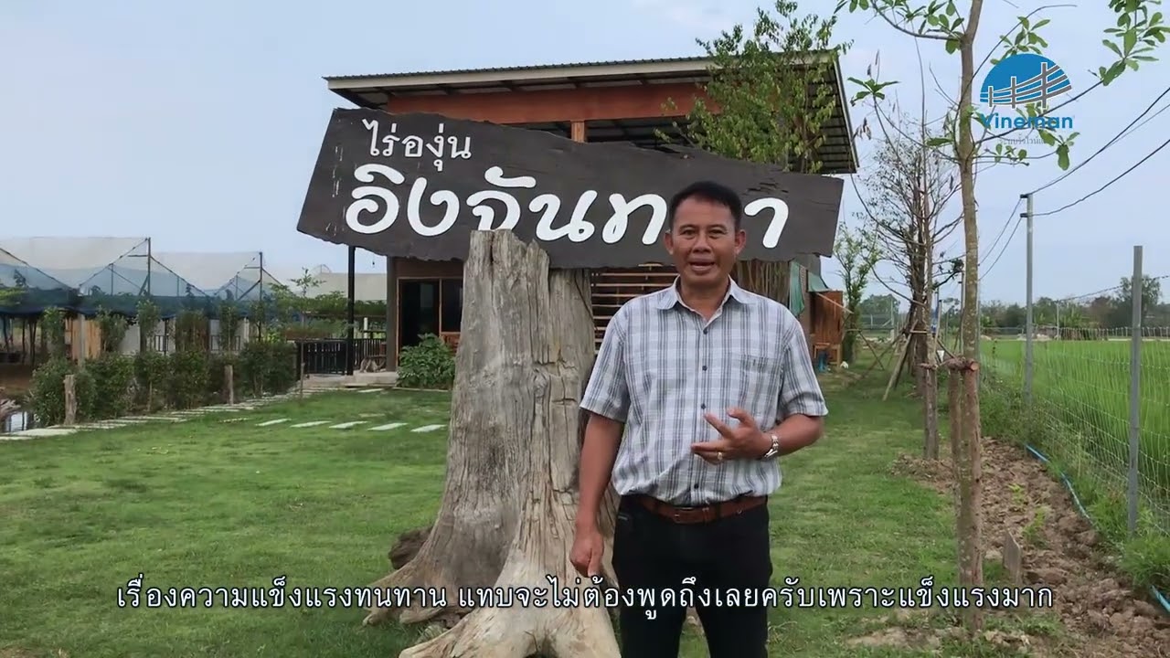 รีวิวผู้ใช้จริง! ทำไมถึงเลือกใช้รั้วตาข่ายไวน์แมน