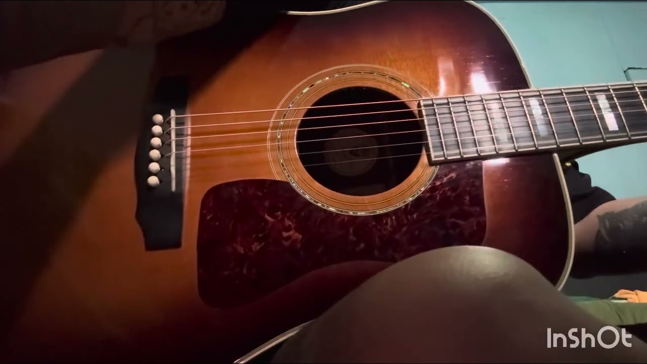 Martin d28 vs guild d55