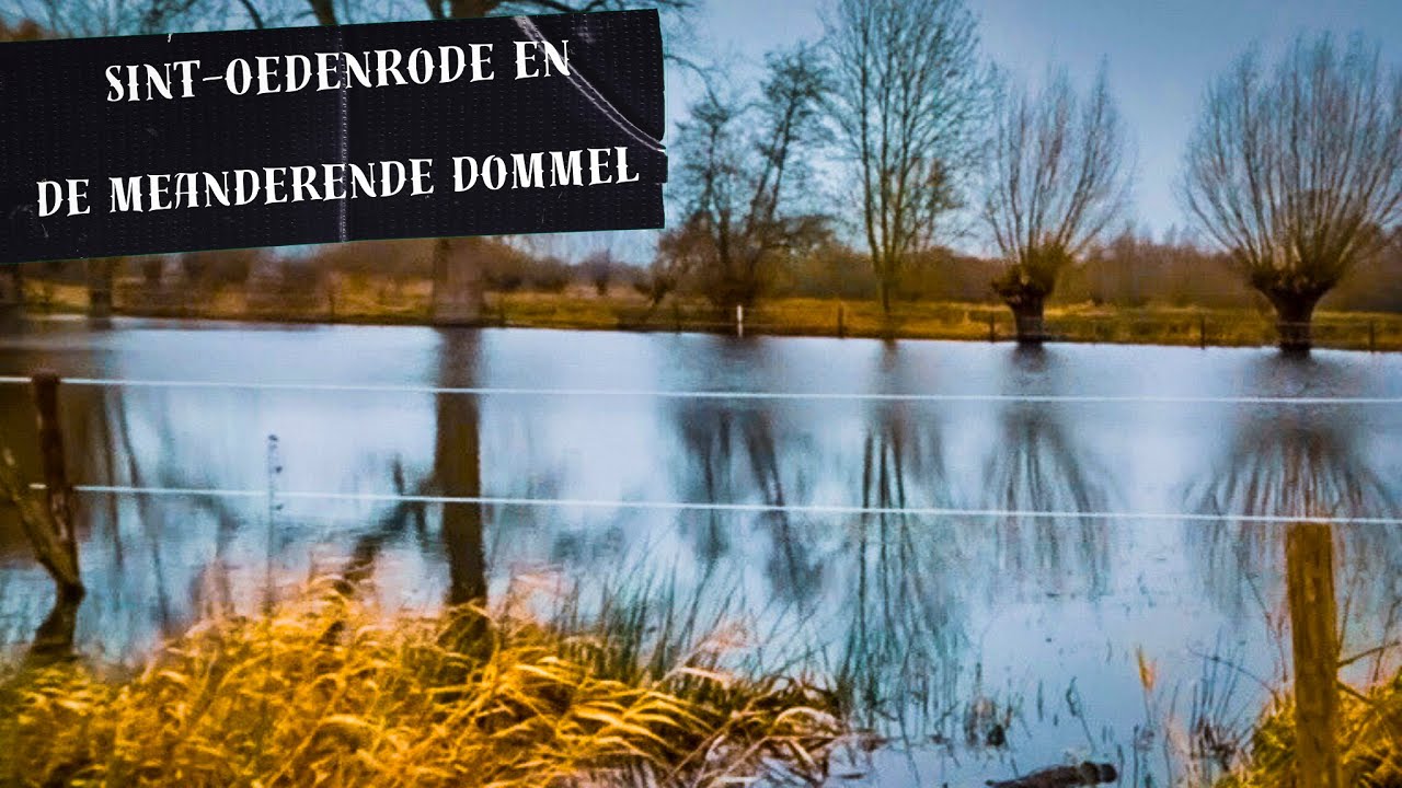 14 Het land van Rooi | 15 min