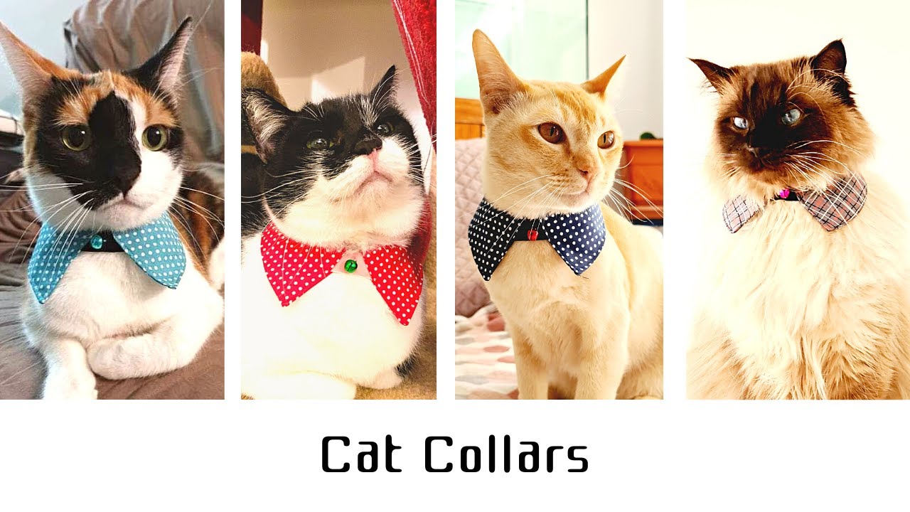 Sewing DIY Cat Collar with pattern; 고양이 목걸이 (카라) 만들기 (패턴포함)