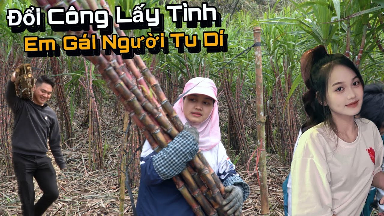 Nùng Vlog Đổi Công Lấy Tình Cùng Em Gái Người Tu Dí Giàu Nhất Bản, Được Mẹ Em Ý Đồng Ý...!
