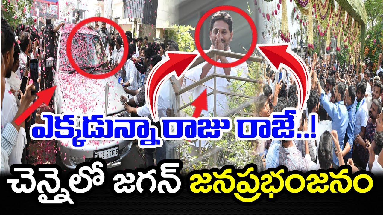 చెన్నైలో జగన్ ప్రభంజనం | YS Jagan Mass Craze at Chennai : PDTV News