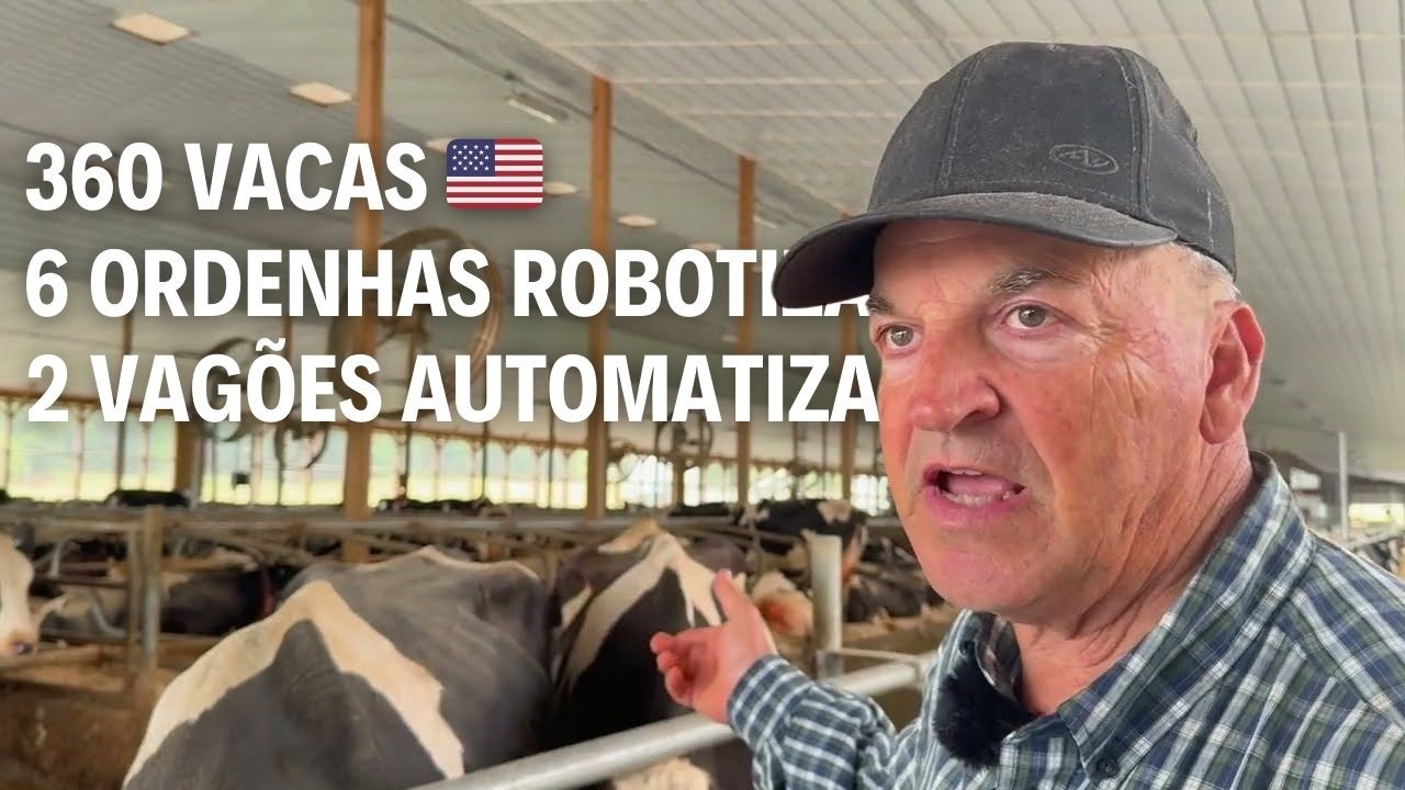 14 MIL LITROS DE LEITE POR DIA 100% COM ROBÔS - ESTADOS UNIDOS 🇺🇸