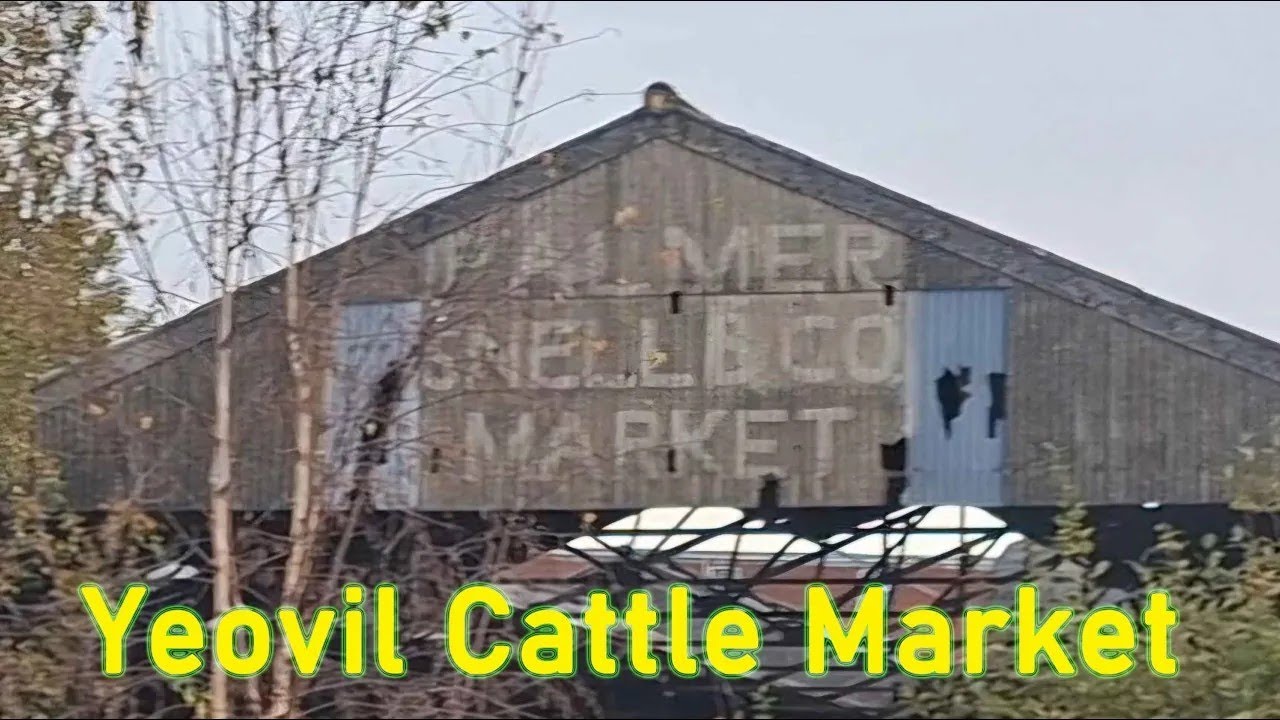 Yeovil Cattle Market in 2025