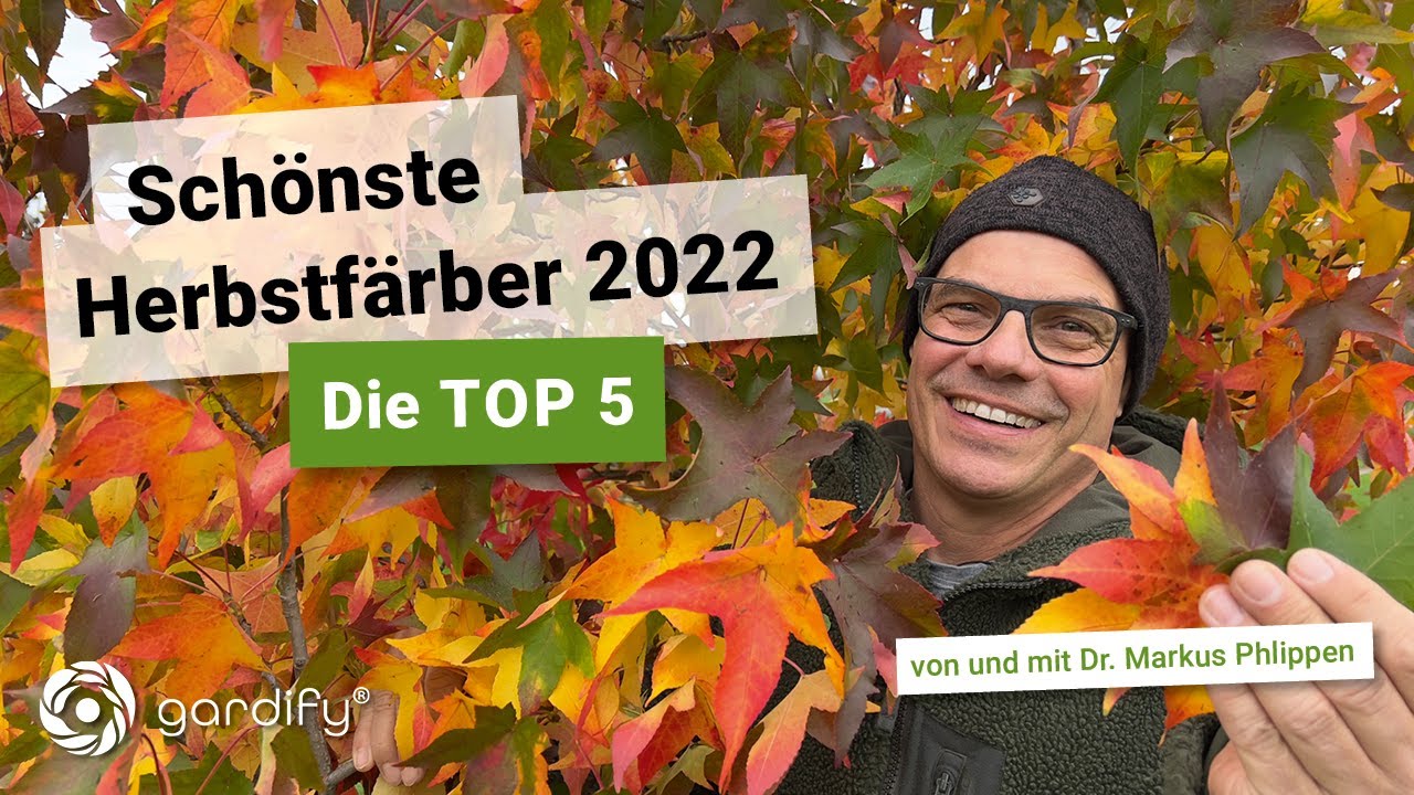 Die Top 5 – Die schönsten Herbstfärber | gardify Tipps