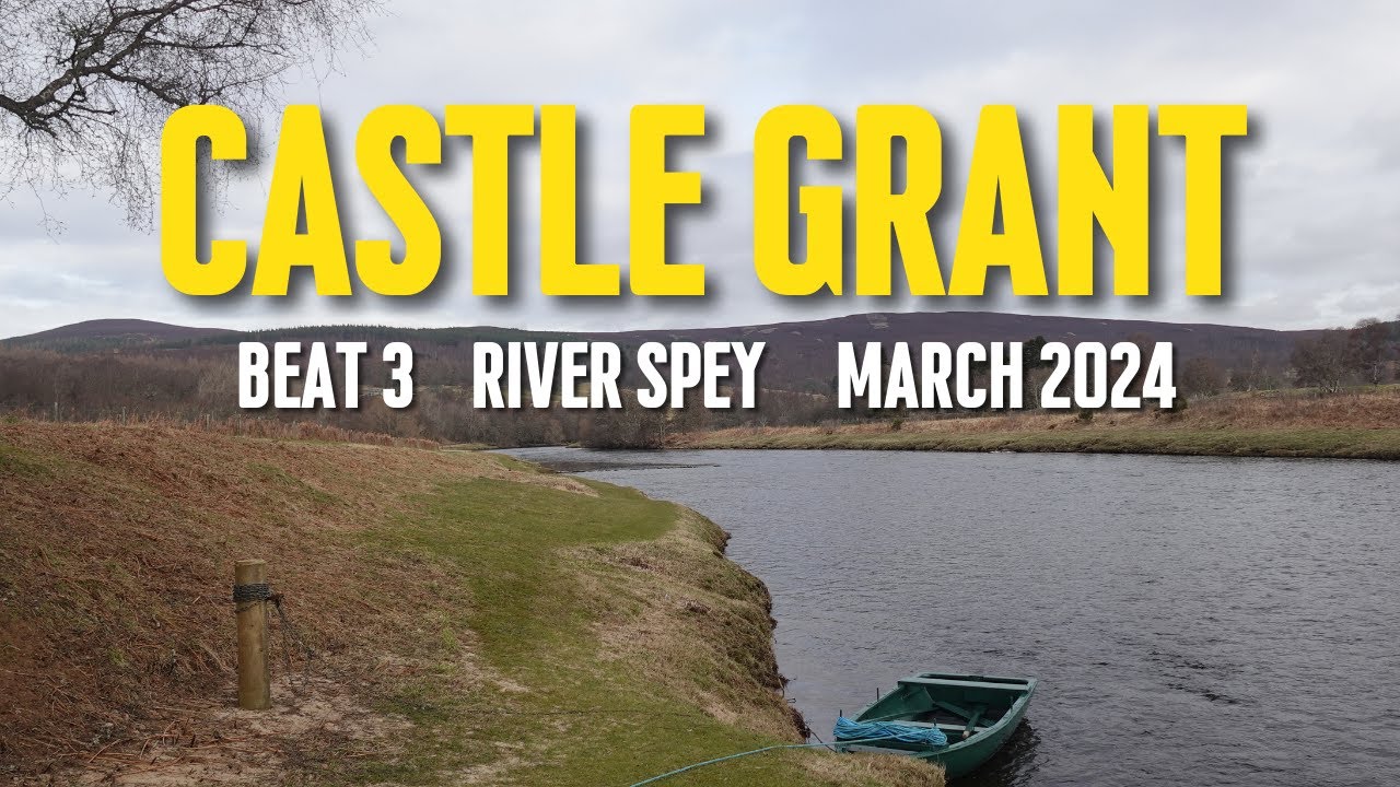 Salmon Fly Fishing | Castle Grant Beat 3 | River Spey | March 2024