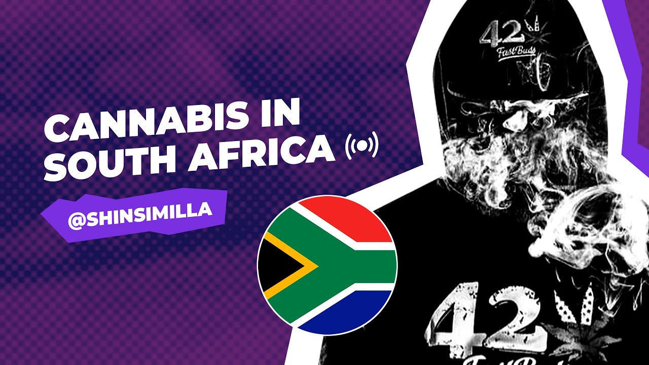 Cannabis use in South Africa | Cannaflix