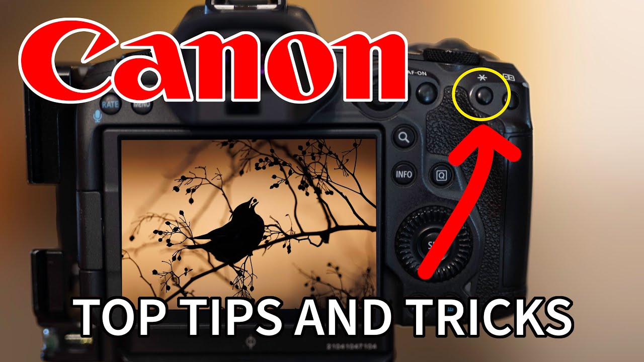 10 ЛУЧШИХ ПРИЕМОВ CANON: Улучшите свои фотографии с помощью этих приемов.