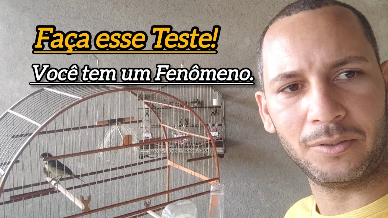 Você Precisa fazer esse Manejo! Ele vai te ajudar a Revelar o Fenômeno que Você tem em Casa 🤩🦅