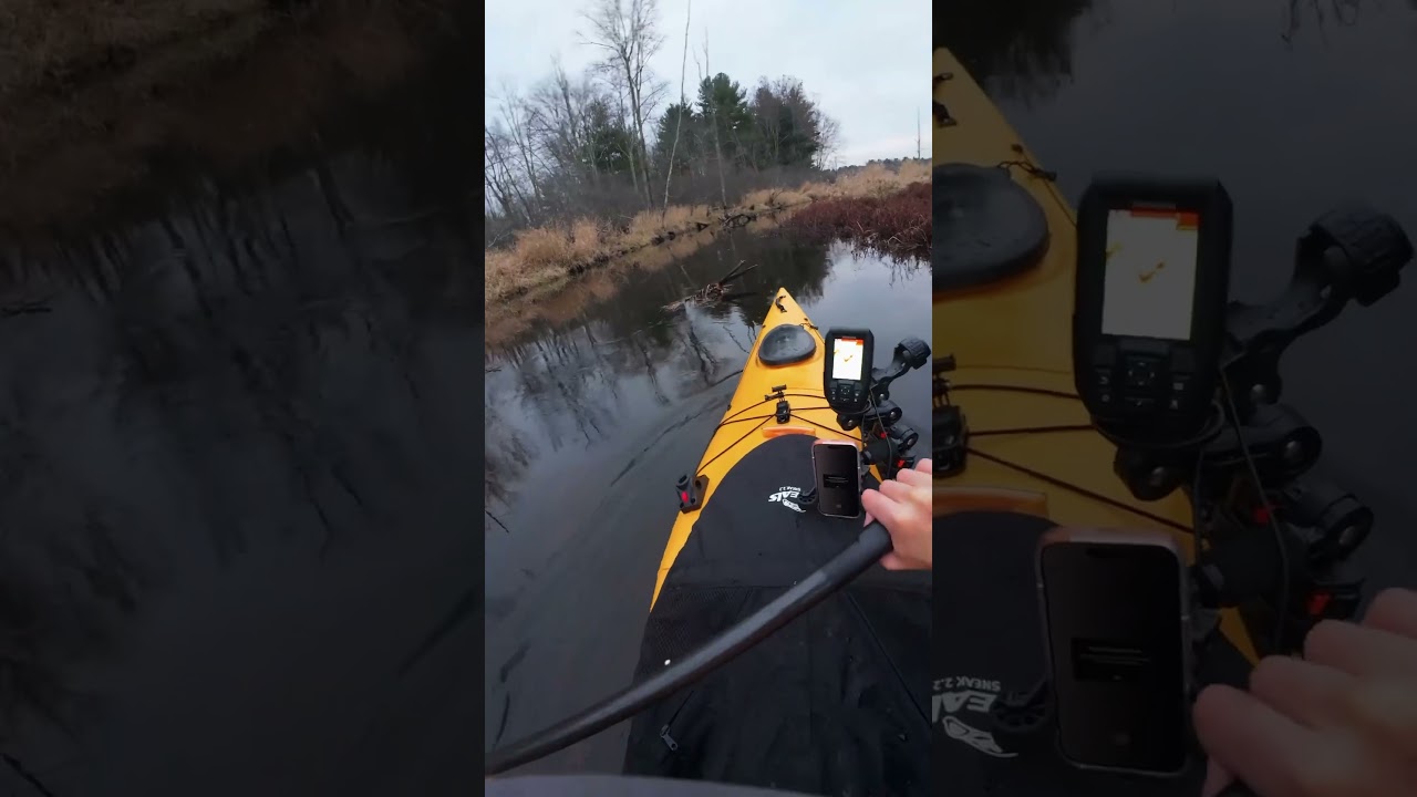 Quiet kayaking ASMR on the Ipswich river! #fishing #kayaking #lake #paddleboating