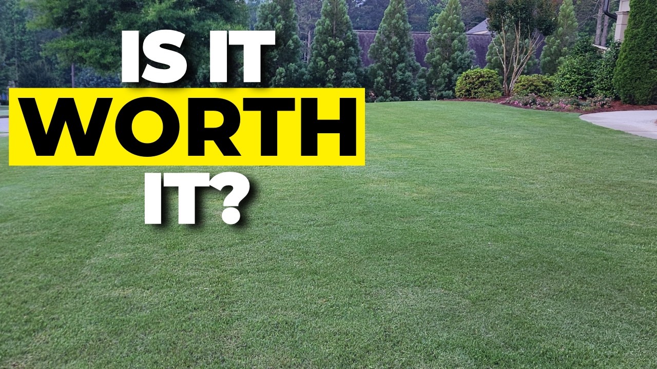 The TRUE COST of LEVELING Your LAWN