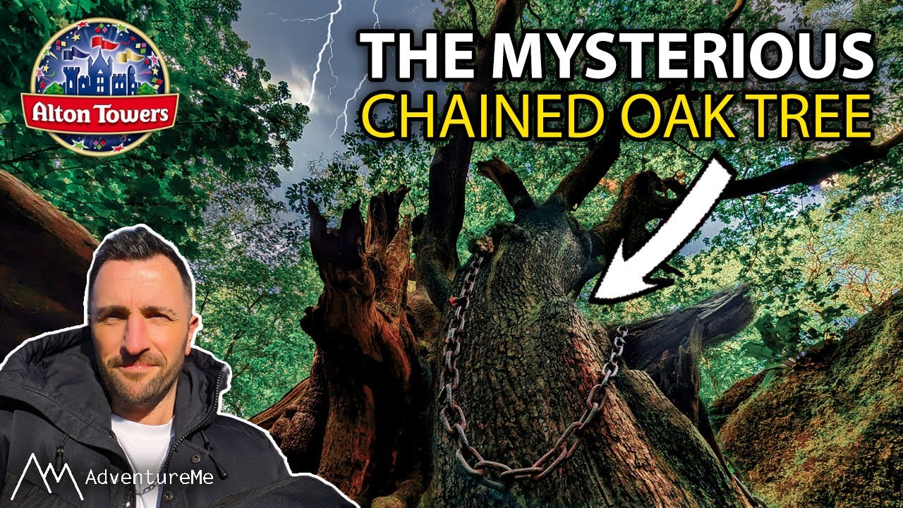 STORY OF | The Mysterious Chained Oak Tree - The Legend of Hex