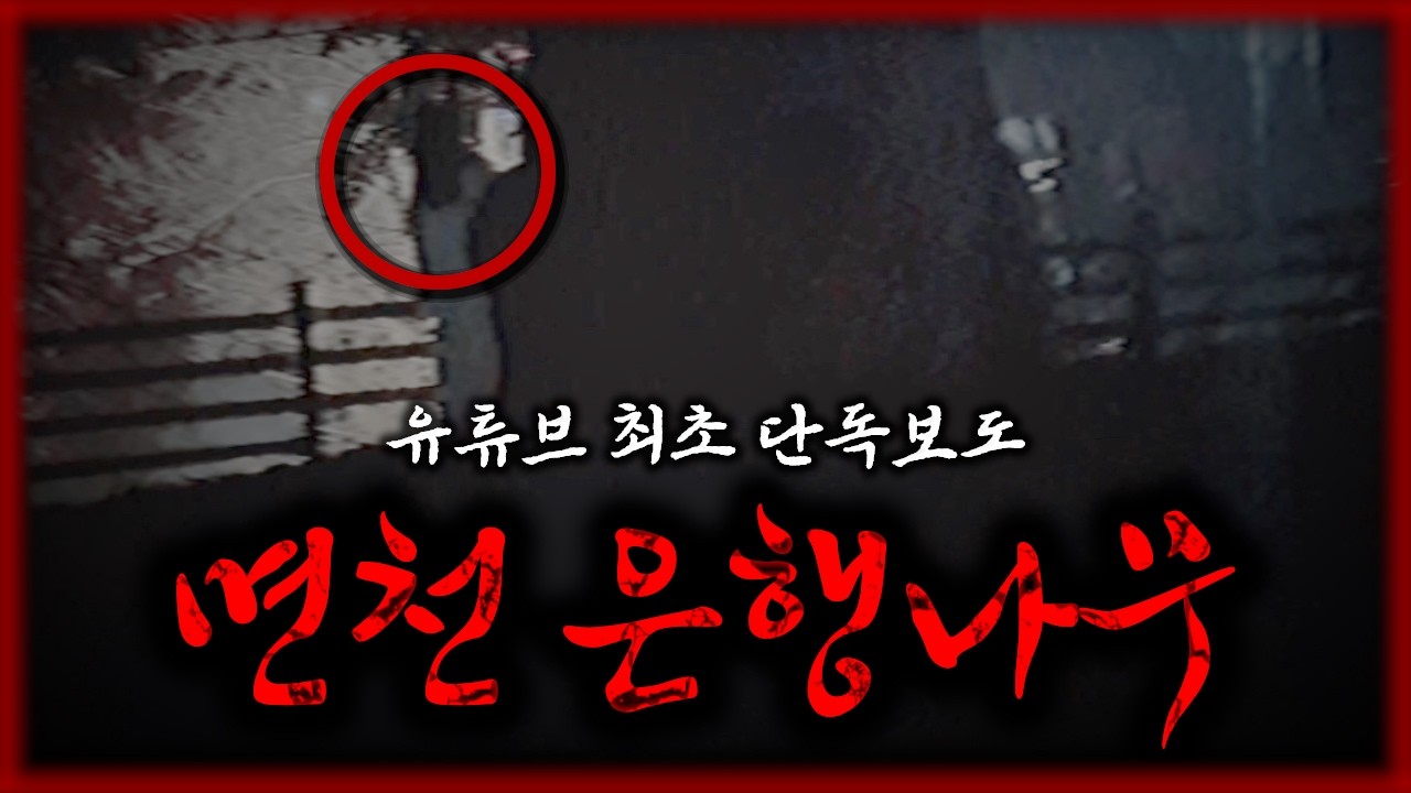 당진 면천 은행나무 괴담의 실체, 의문의 목소리 ‘영랑아’