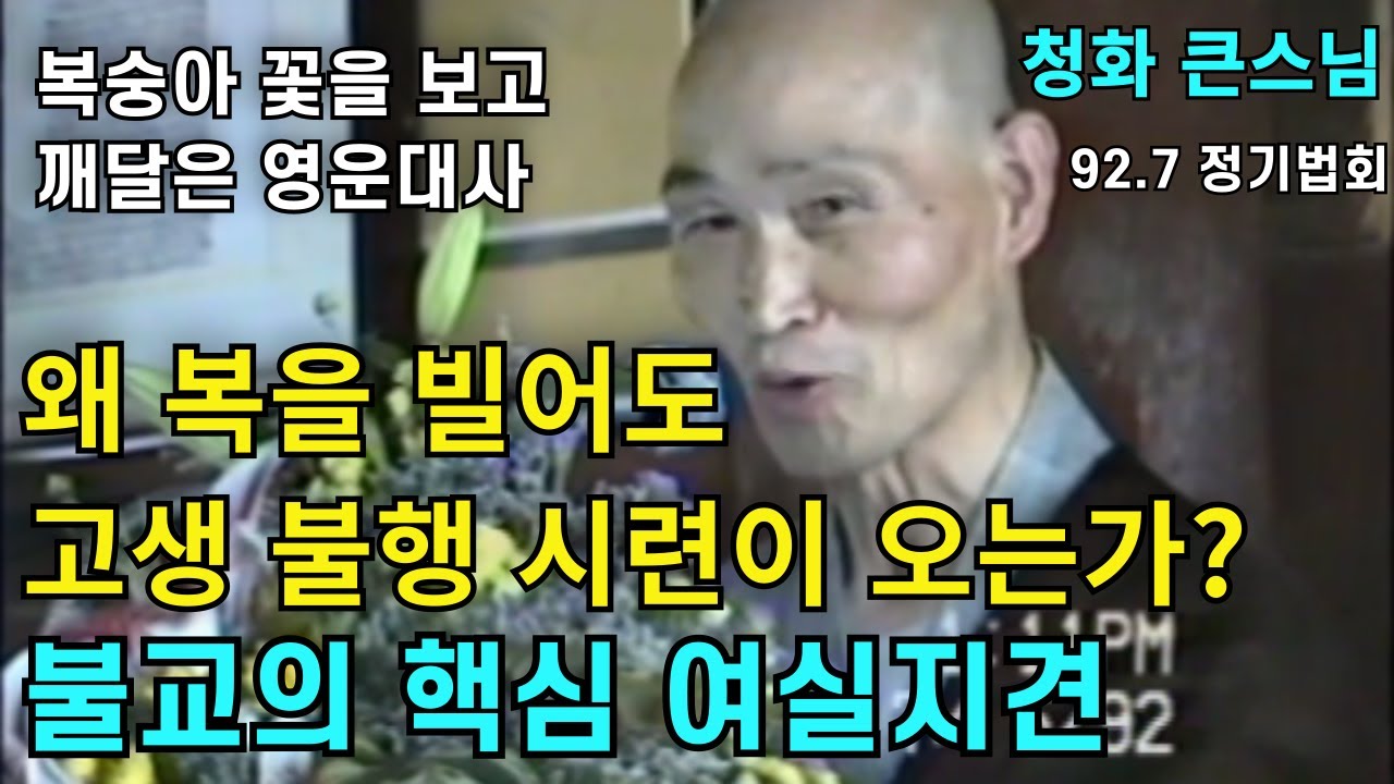 왜 복을 빌어도 고생과 시련 불행이 오는가 불교의 핵심 여실지견 | 영운대사의 깨달음 이야기 |청화스님 법문 19920705 태안사정기법회