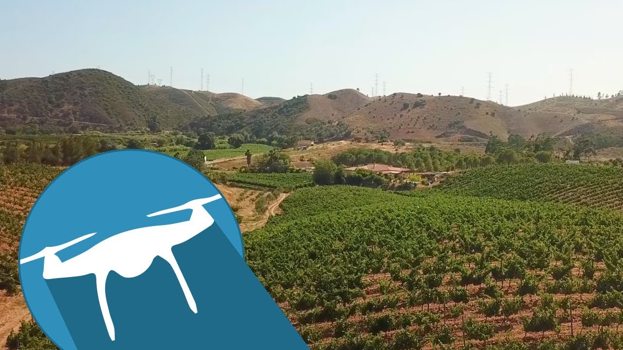 Quinta do Franc&ecirc;s winery by drone - Algarve, Portugal