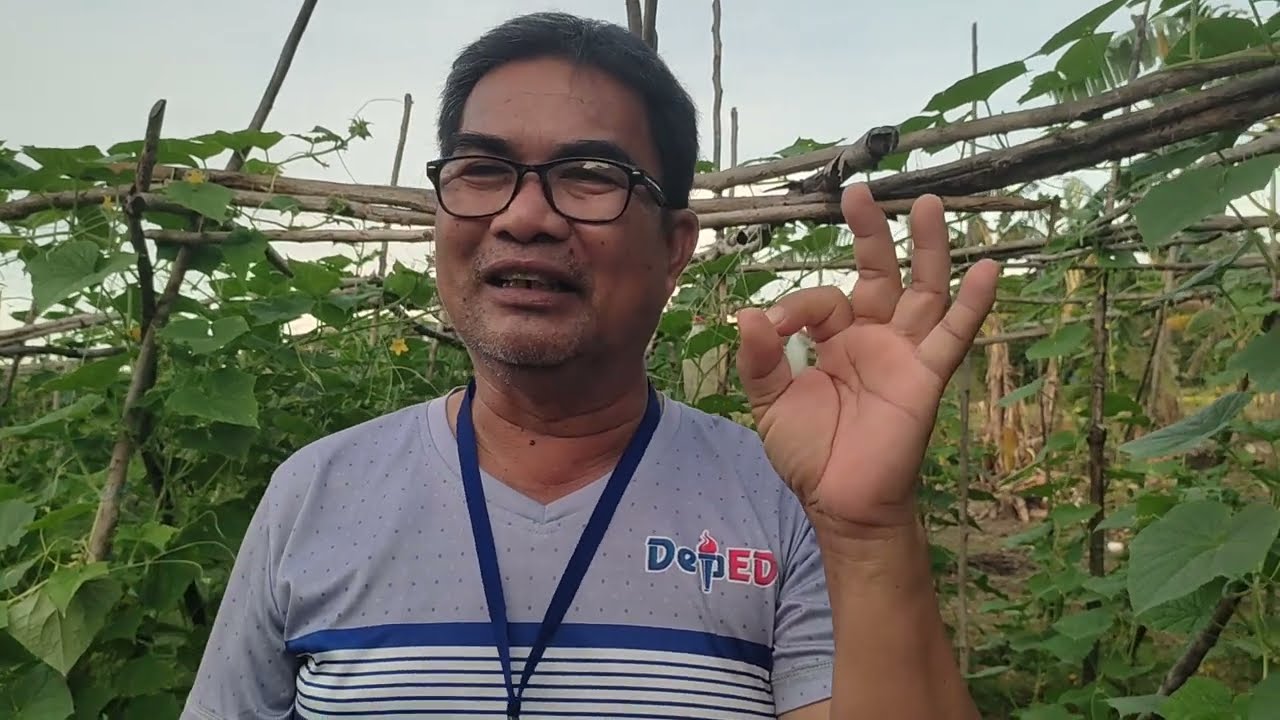 PAG USAPAN NATIN ANG PIPINO - KITAAN | D' Green Thumb