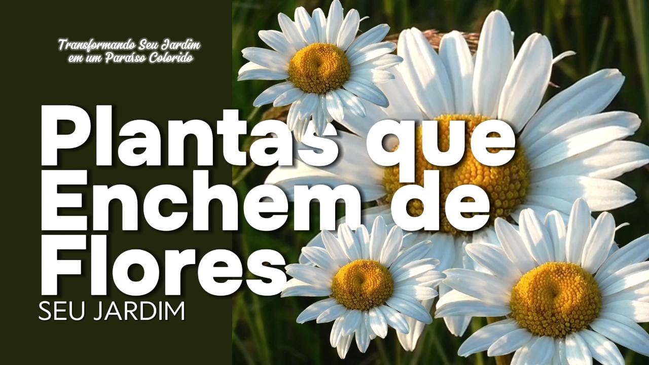 Plantas Que Enchem de Flores: Como Criar um Jardim Colorido e Vibrante