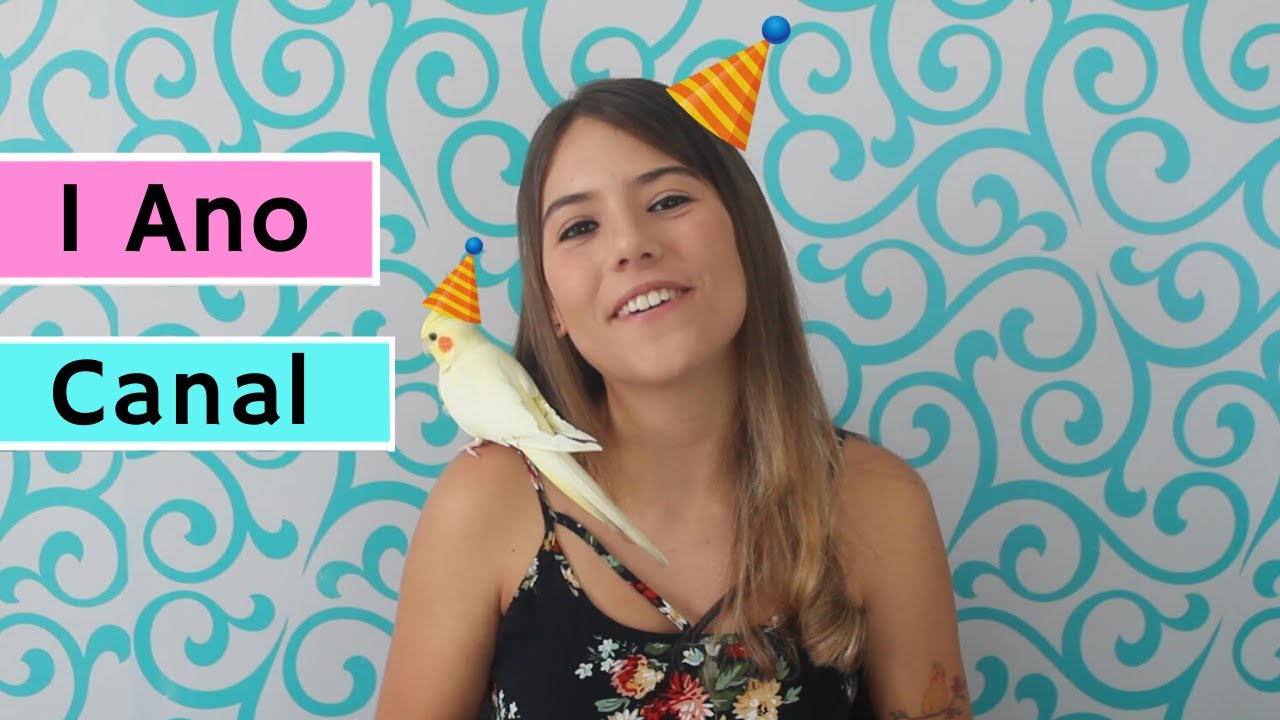 01 ano de canal I Voc&ecirc; s&oacute; d&aacute; aula?