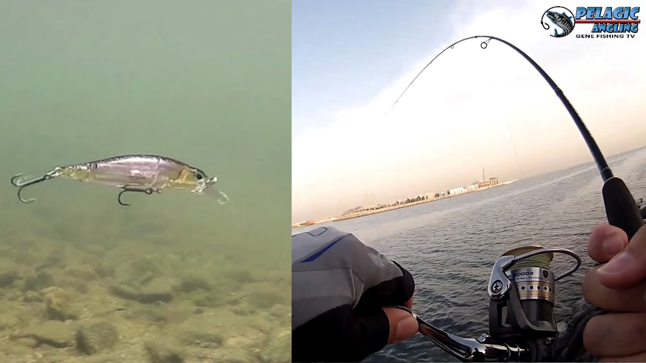 Big Lure Big Strike! DUO Lures, Ultralight Fishing in the Desert.
