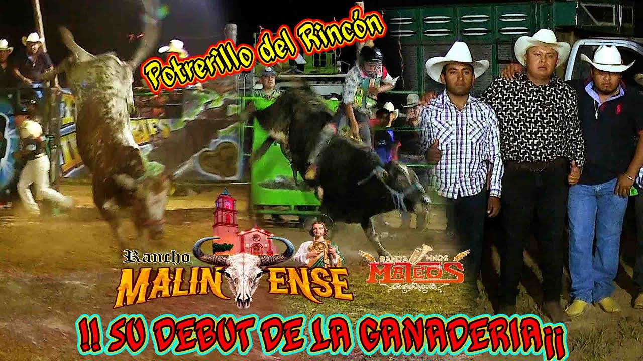 EL DEBUT DE LA GANADER&Iacute;A 